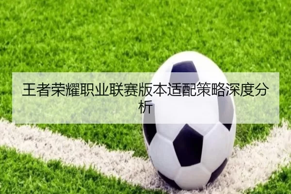 王者荣耀职业联赛版本适配策略深度分析